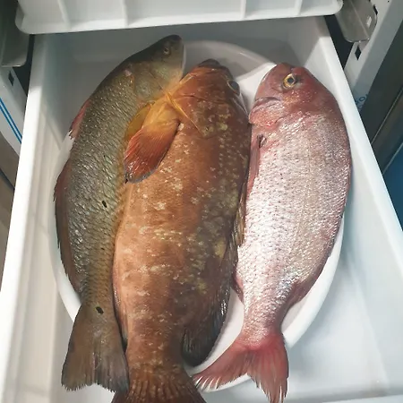 Villaggio Le Palatine Metaponto