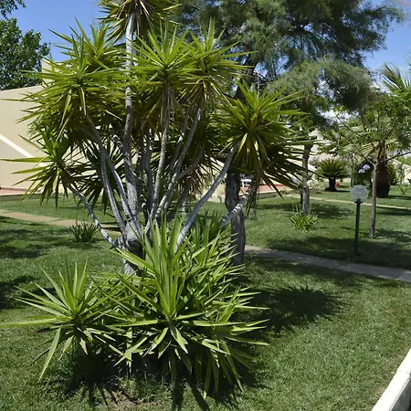 Villaggio Le Palatine Parco vacanze