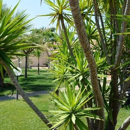 Parco vacanze Villaggio Le Palatine *