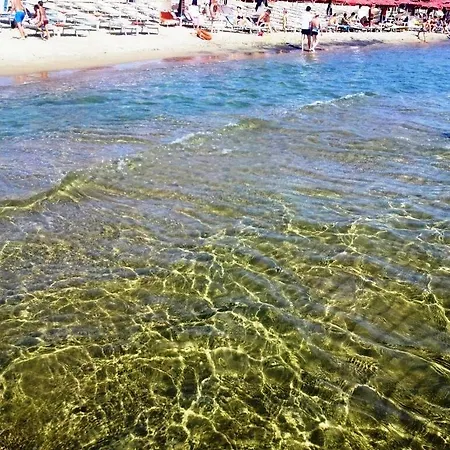 Parco vacanze Villaggio Le Palatine *