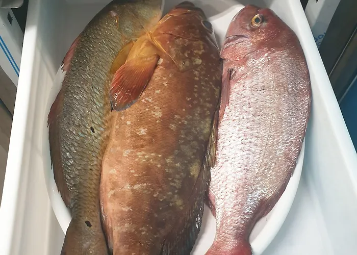 Villaggio Le Palatine Метапонто